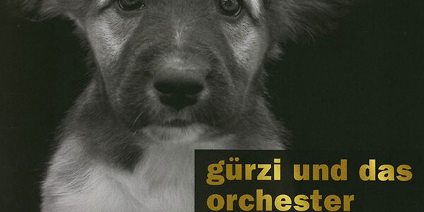 Guerzi und das Orchester, Cover